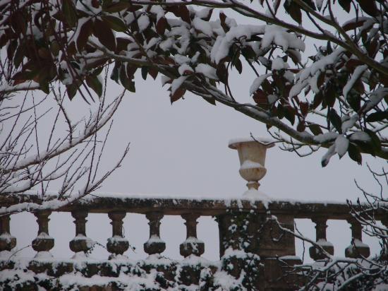 Neige