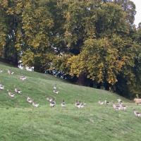 Automne