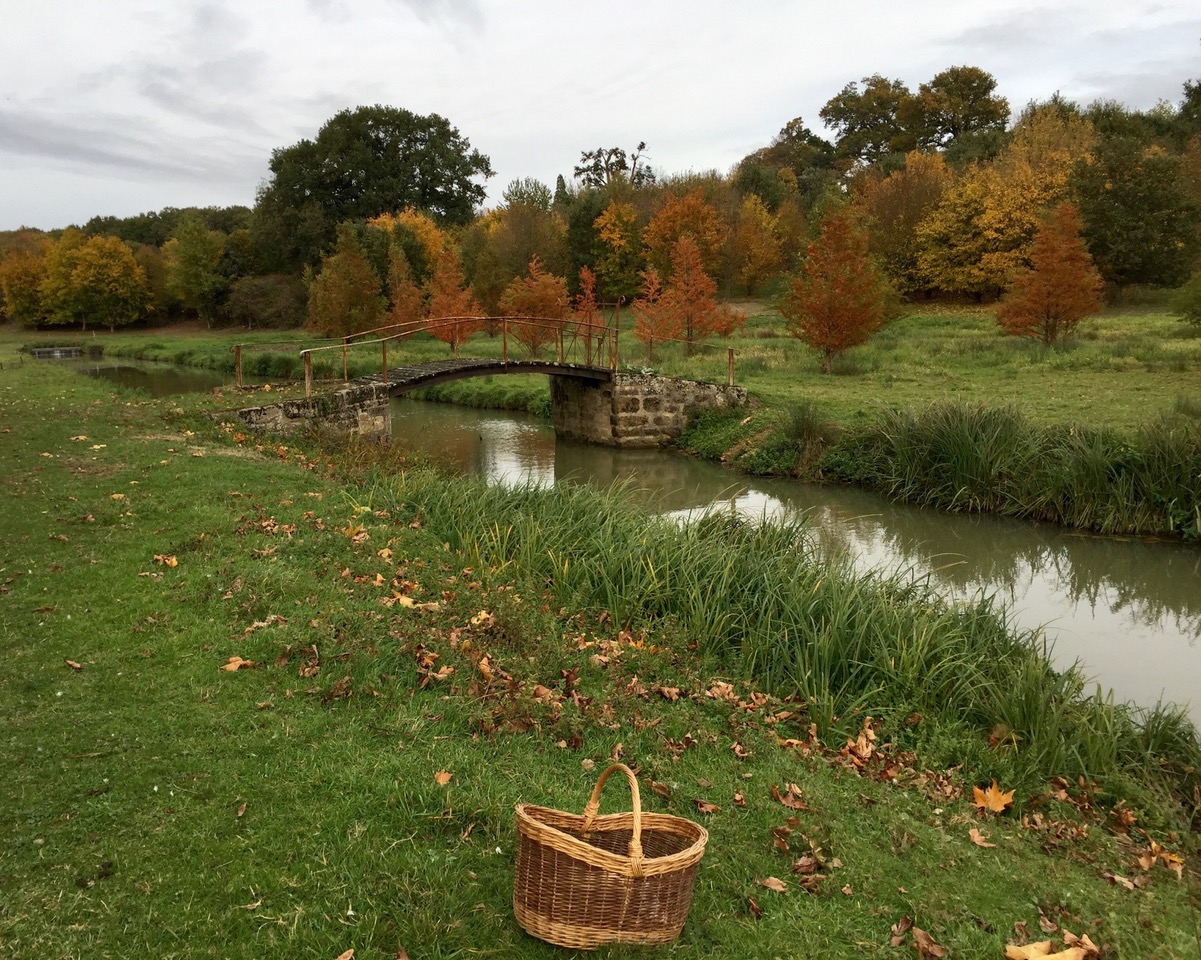Automne