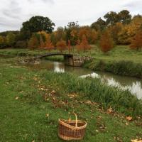 Automne