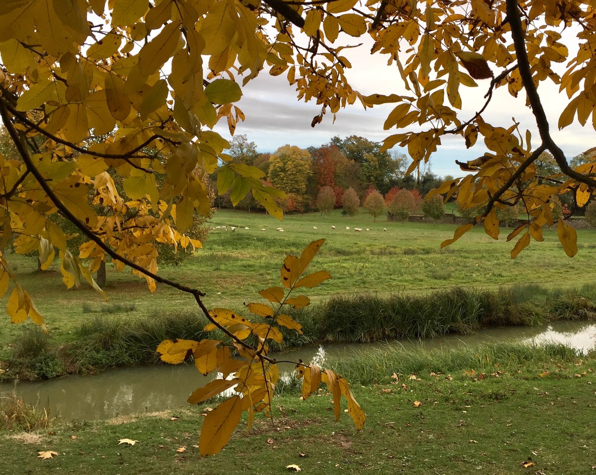 Automne