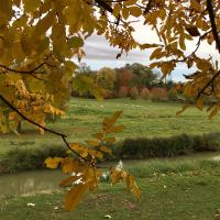 Automne